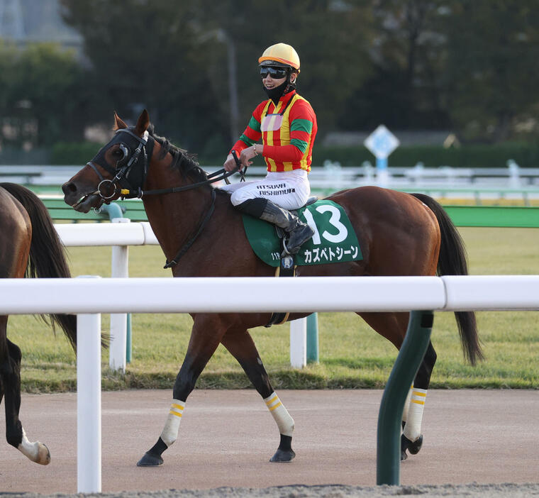 東京11R、武蔵野Sで2着のカズペトシーンと西村淳騎手（撮影・柴田隆二）