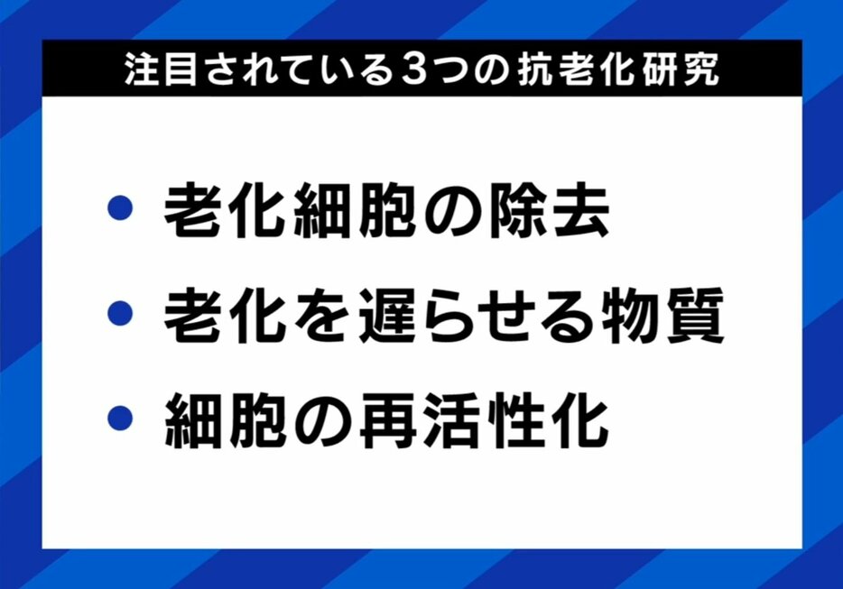 3つの抗老化研究