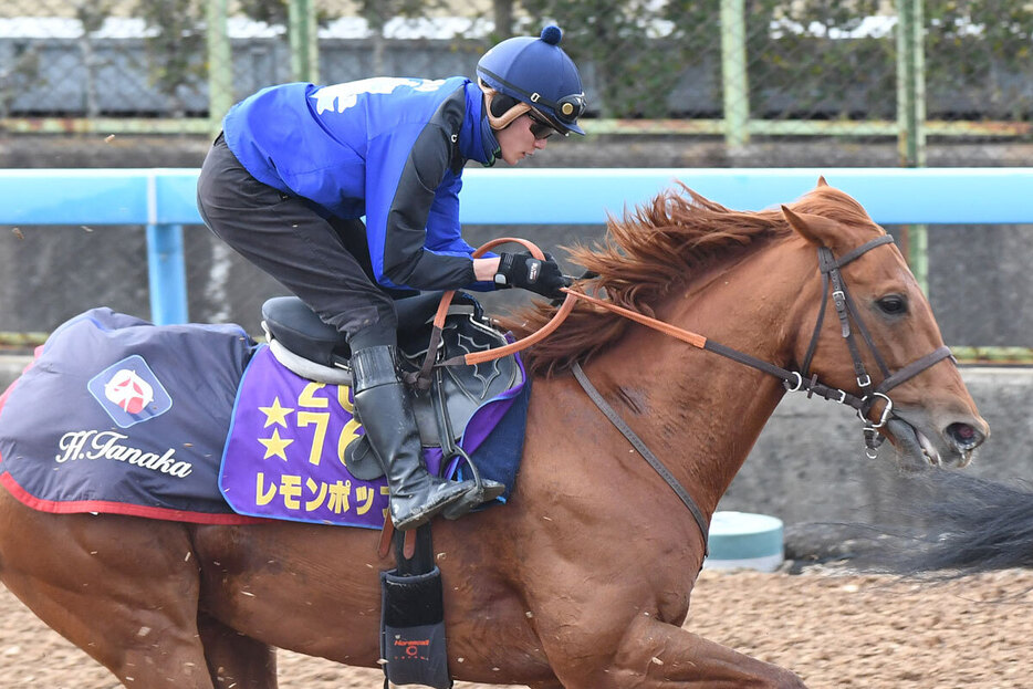 レモンポップと坂井瑠星