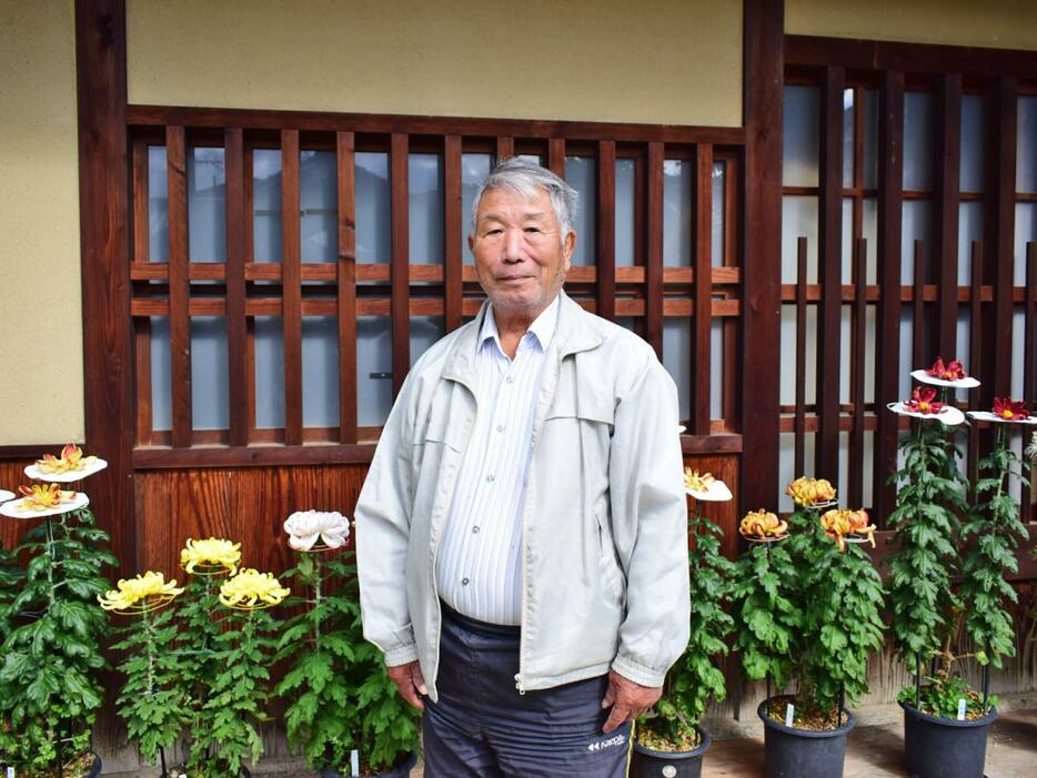 「日下菊花愛好家有志の会」の川上朝次郎さん