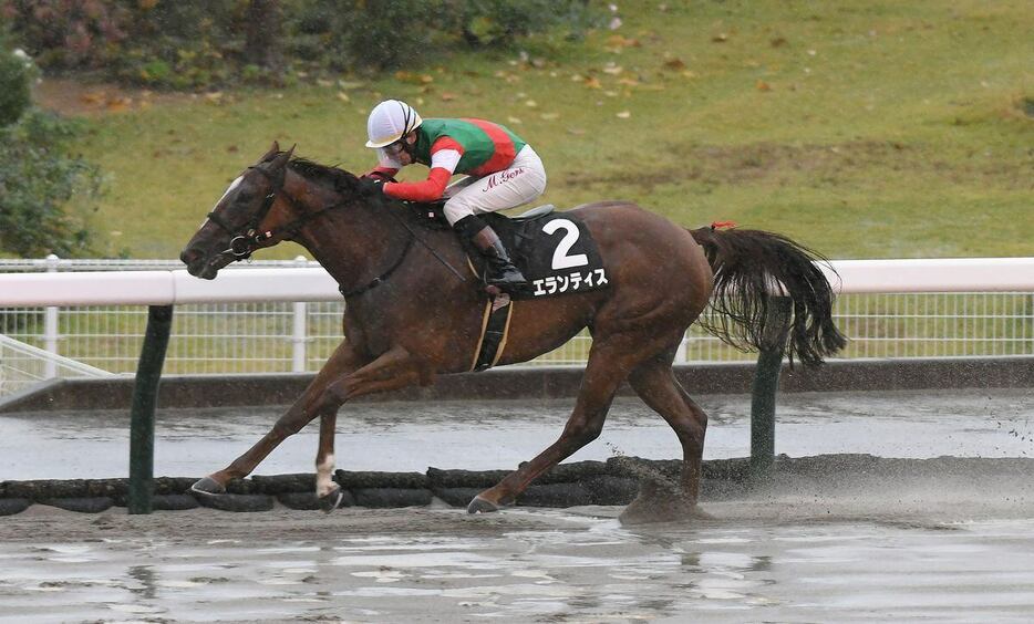 後続に5馬身差をつけ快勝したエランティス＝11月2日、福島競馬場（撮影・菅原和彦）