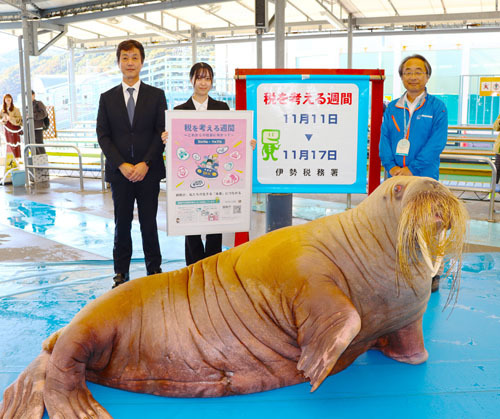 【「税を考える週間」をPRするセイウチのツララと関係者ら＝鳥羽市の鳥羽水族館で】