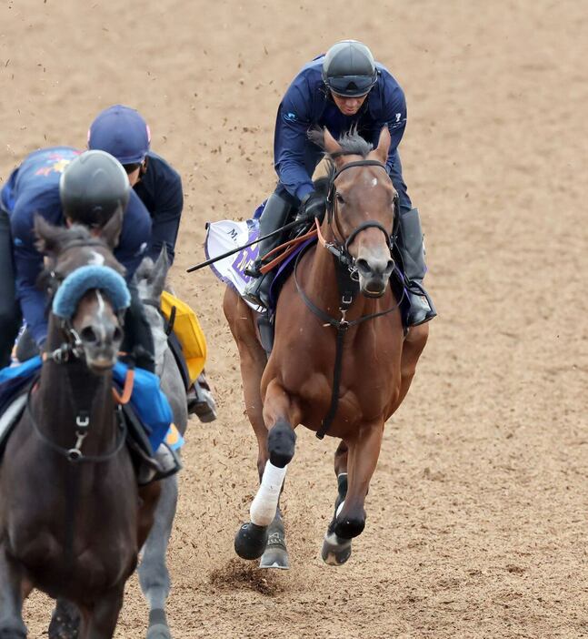 3頭併せで鋭い加速を披露したブレイディヴェーグ