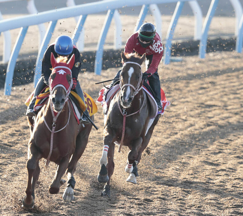 Wコースで追い切ったウインマーベル（左はシャドウダッチェス）（カメラ・荒牧　徹）