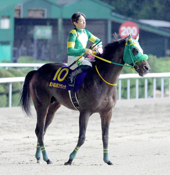 ＪＢＣクラシックを制したウィルソンテソーロと川田騎手