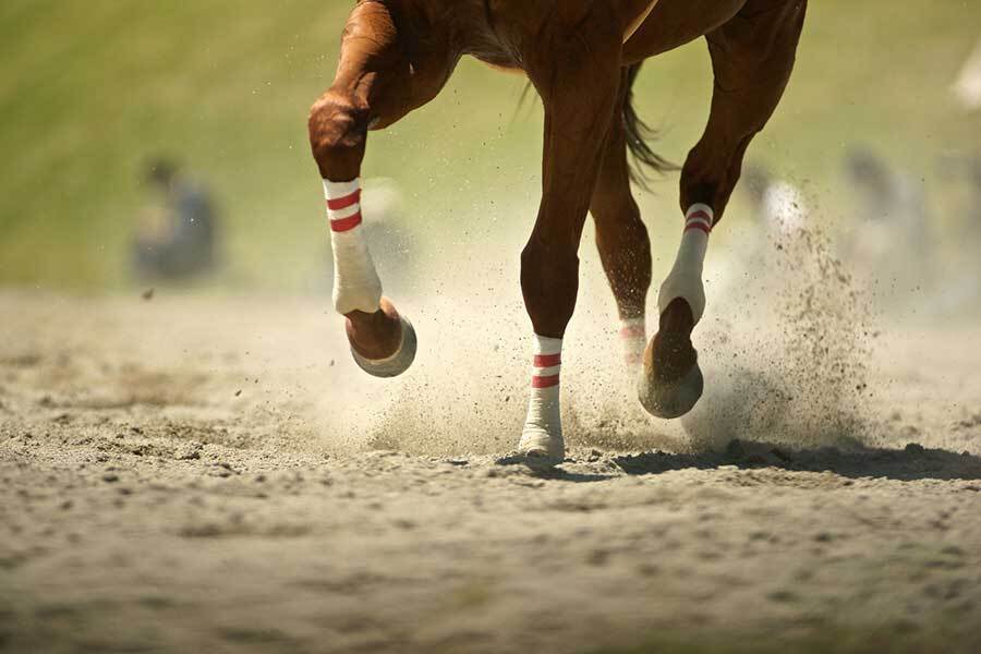 競馬で珍しい圧勝劇が生まれた（写真はイメージです）