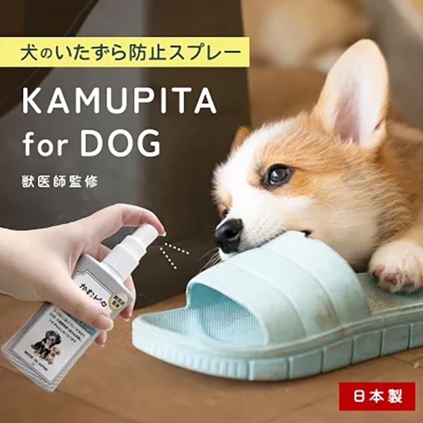 かむピタ for DOG