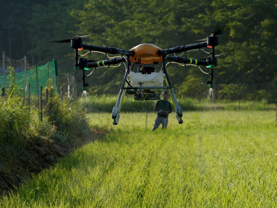 電気柵や民家そばなど狭い場所で、殺虫殺菌剤を散布するドローン＝8月9日、京都市右京区