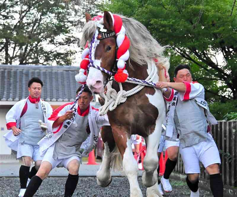 八代神社でおはらいを受け、拝殿の周りを駆ける飾り馬＝11日、八代市