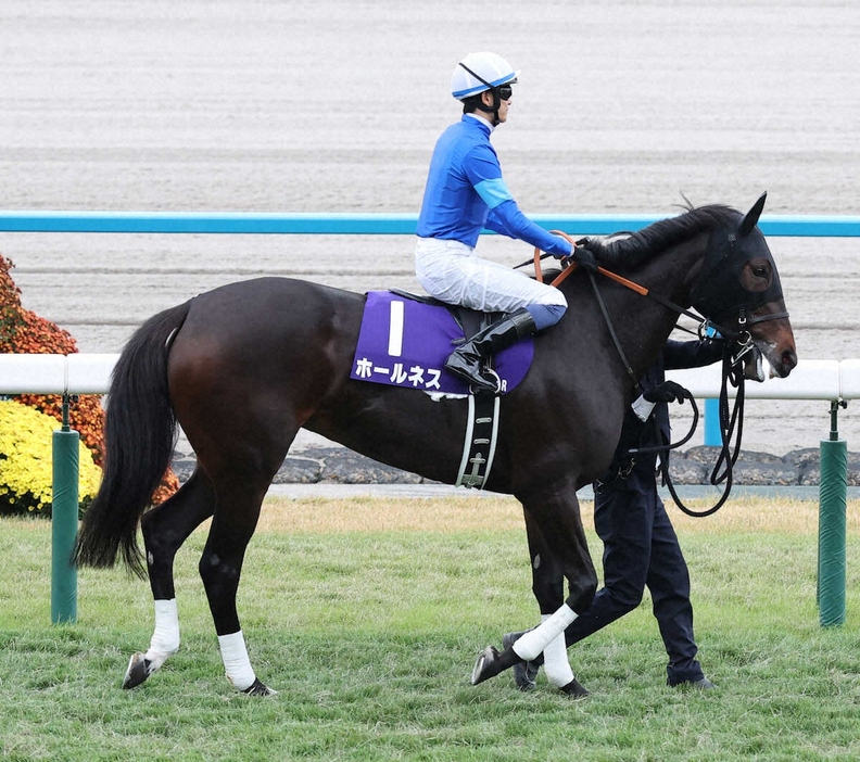 ＜京都11R・エリザベス女王杯＞3着に入ったホールネス（撮影・岸　良祐）