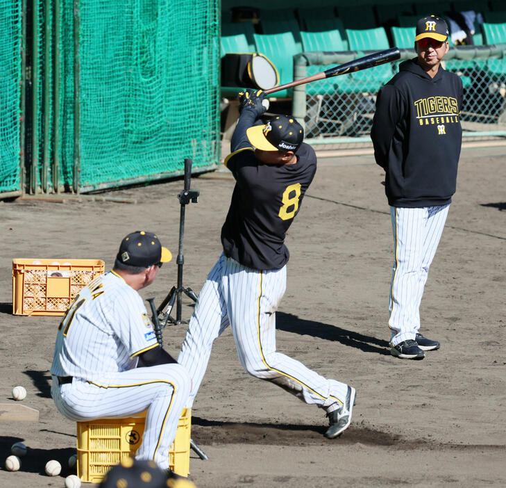 佐藤輝（左）のティー打撃を見る藤川監督（撮影・加藤哉）