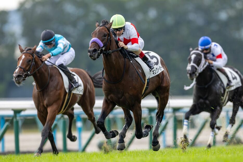 京都5R・キングメーカーとC.ルメール騎手