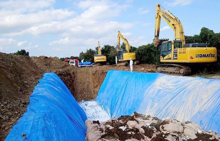 殺処分した鶏を埋却処理する県職員ら＝２１日、出水市高尾野（鹿児島県提供）