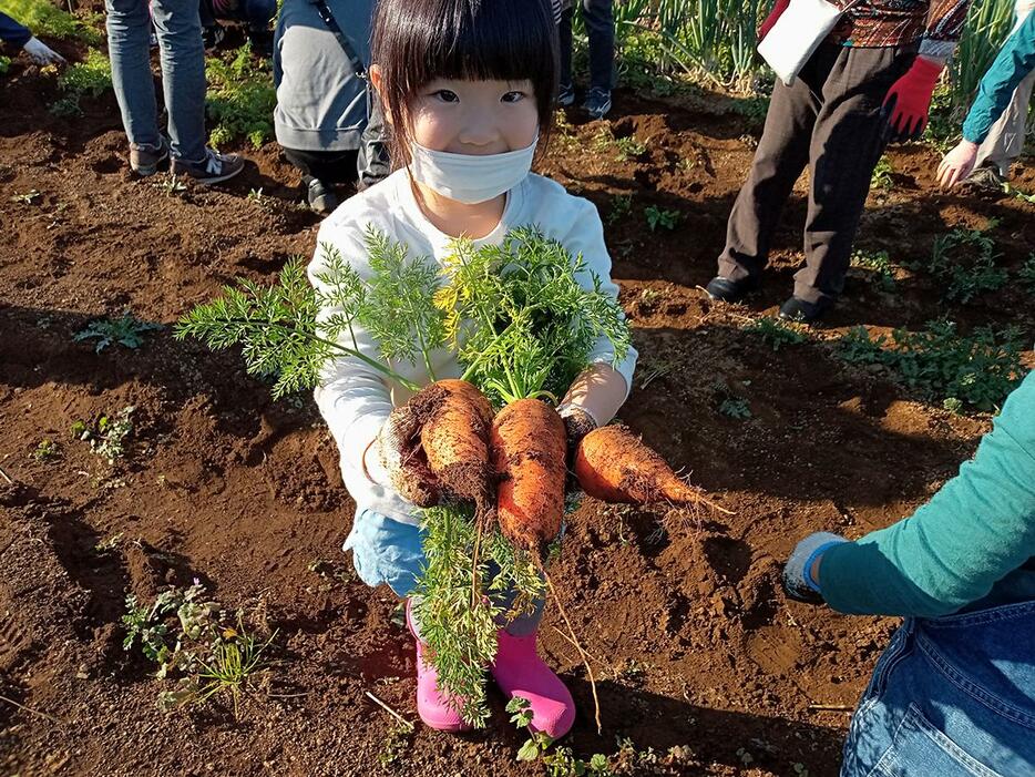 以前の収穫イベントでニンジンを収穫する子ども（写真提供＝全国農協観光協会）