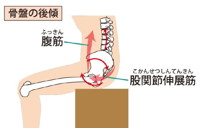 骨盤後傾（こつばんこうけい）とは、下の図のように、骨盤が後ろに回転して腰がやや丸まるような動きのことです。