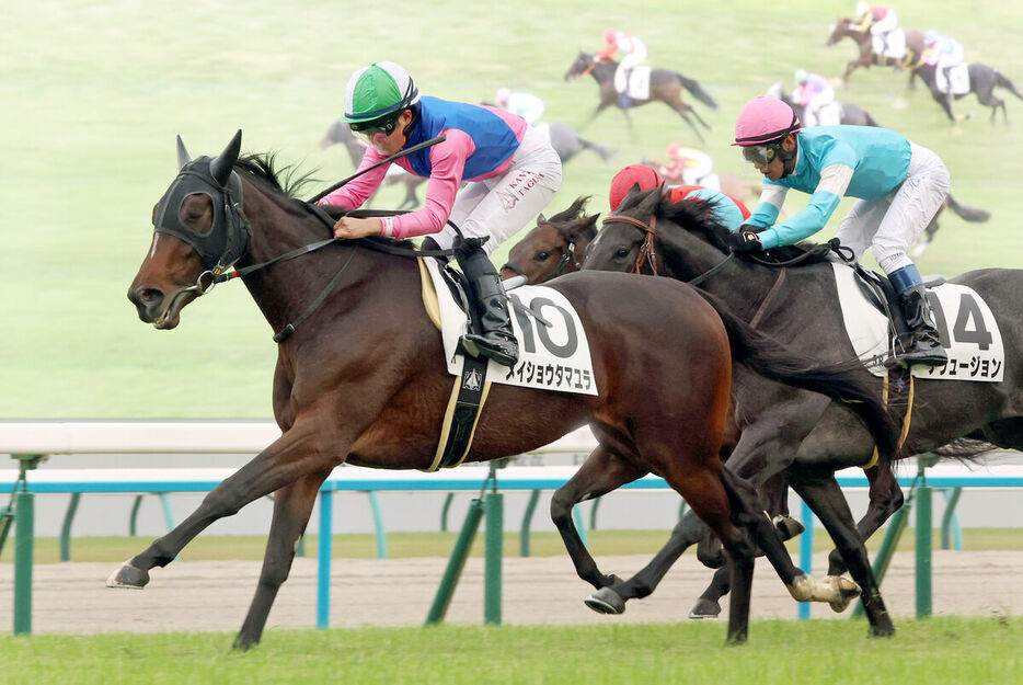 田口貫太騎手騎乗のメイショウタマユラ（左）がゴール前で抜け出す（カメラ・高橋　由二）