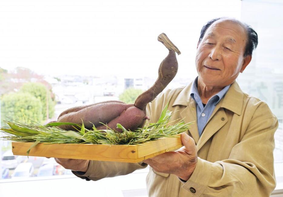 鳥のような形のサツマイモを収穫した和家秋雄さん=18日午前、水戸市笠原町