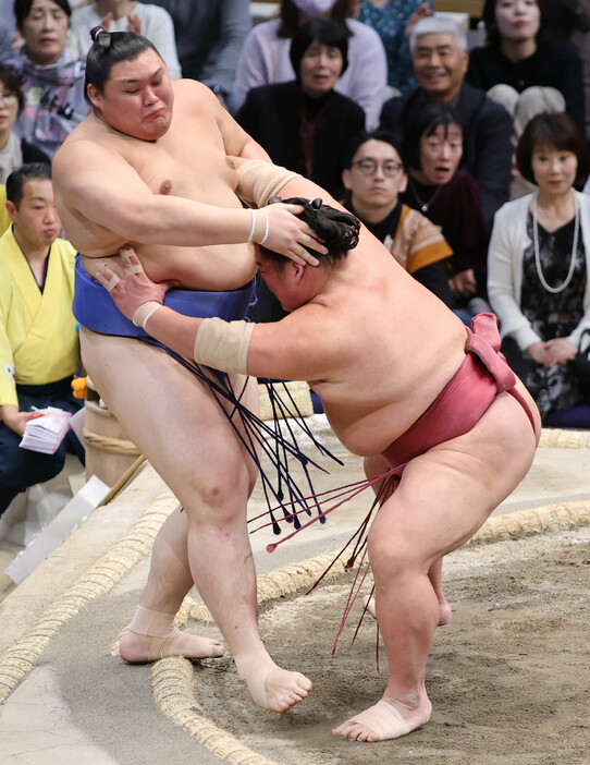 大相撲九州場所１０日目。大栄翔（右）に寄り切られた大の里。３敗目を喫した＝１９日、福岡国際センター