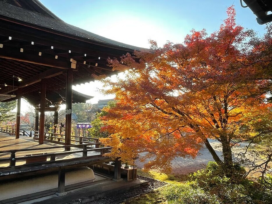 画像提供＝旧嵯峨御所　大本山大覚寺