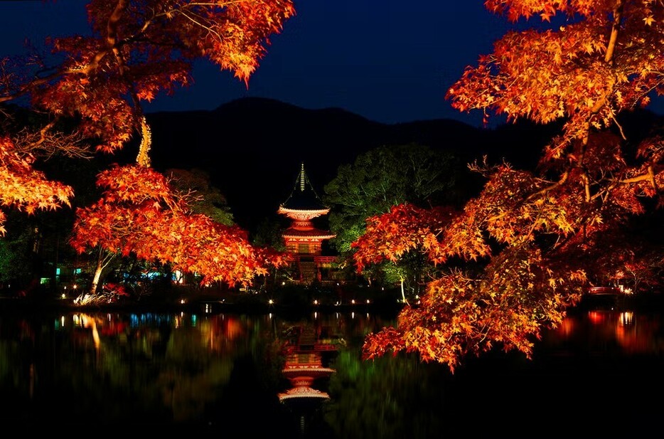 画像提供＝旧嵯峨御所　大本山大覚寺