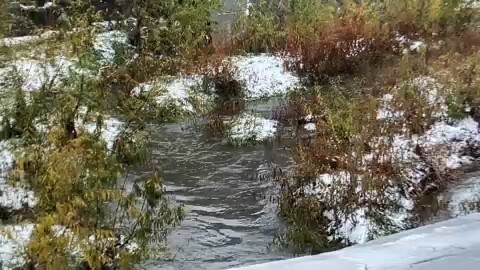 札幌市内の川からスマートフォンがみつかった