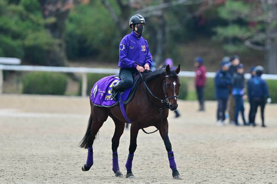 ＧⅠ５勝目を狙うドウデュース