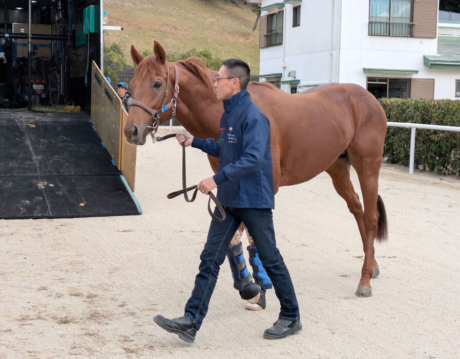 中京競馬場に到着したレモンポップ（カメラ・山本　武志）