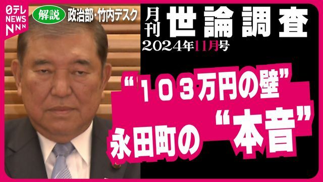 2024年11月世論調査解説