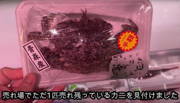 半額で売られていたカニの「はんぐり」ちゃん