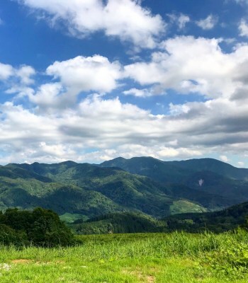 〔PHOTO〕iStock