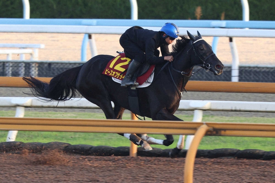 団野大成が騎乗し、CWコースで軽快な動きを見せたピースオブザライフ