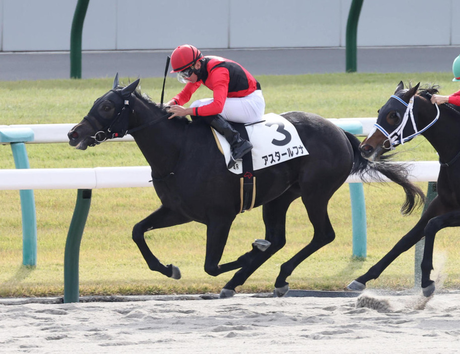 逃げ切って新馬戦を制したアスタールフナ（撮影・白石智彦）