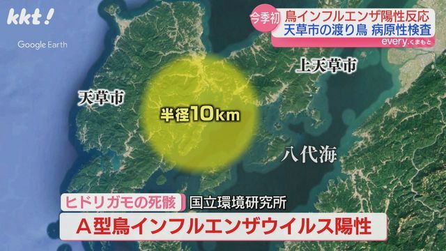 天草市で鳥インフル陽性確認