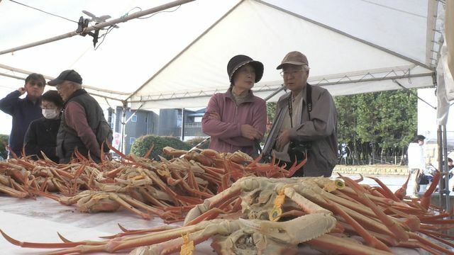 カニの形や価格を確認する来場者たち＝8日午前8時ごろ・坂井市三国町