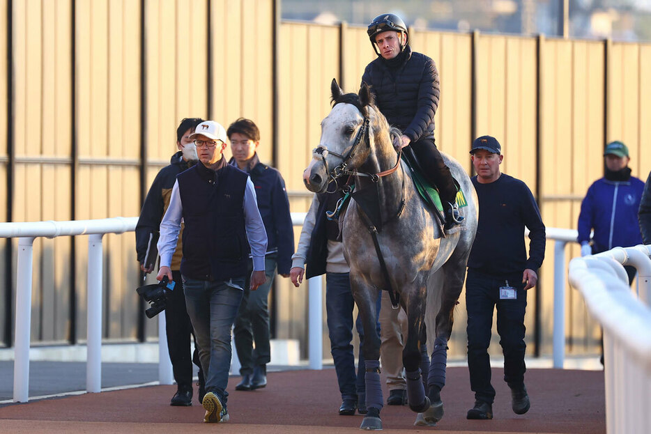 京都競馬場で調整を続けるチャリン