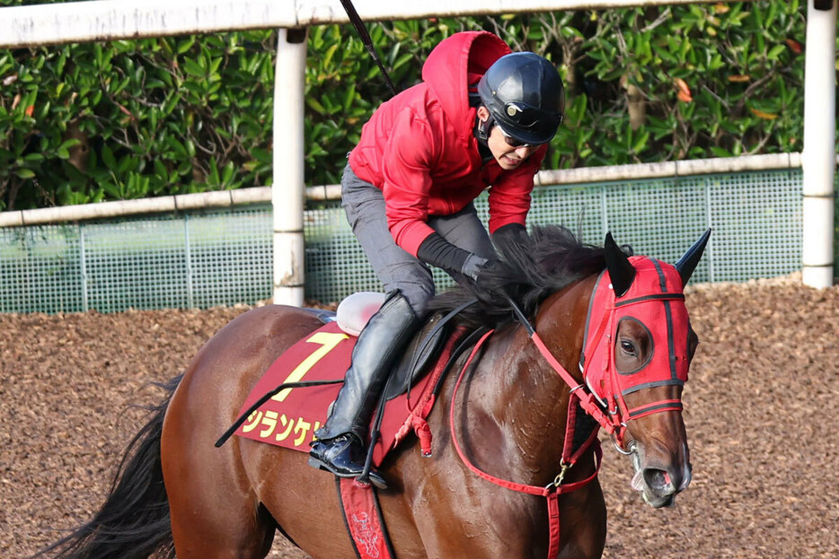 シランケドはエリザベス女王杯を自重し中日新聞杯へ