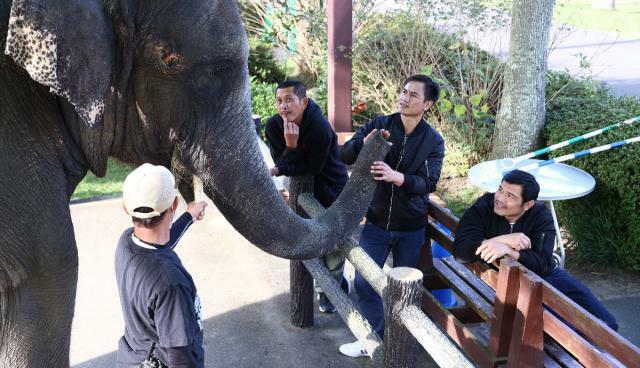 宮崎市フェニックス自然動物園のアジアゾウ「みどり」とタイ語を交えて触れ合う木下サーカスの調教師たち＝２１日午後、宮崎市・同園