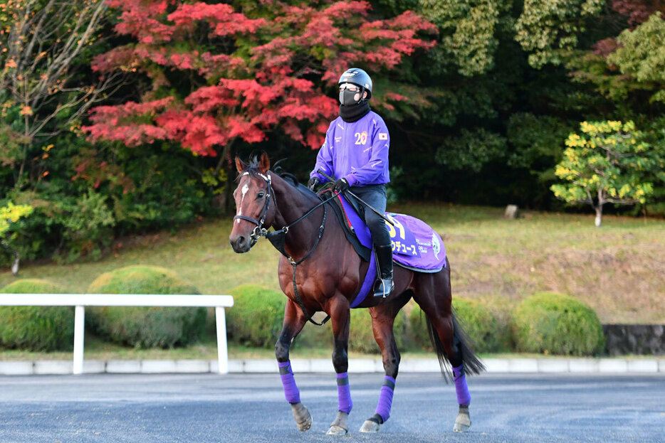 武豊騎乗のドウデュースは３枠３番