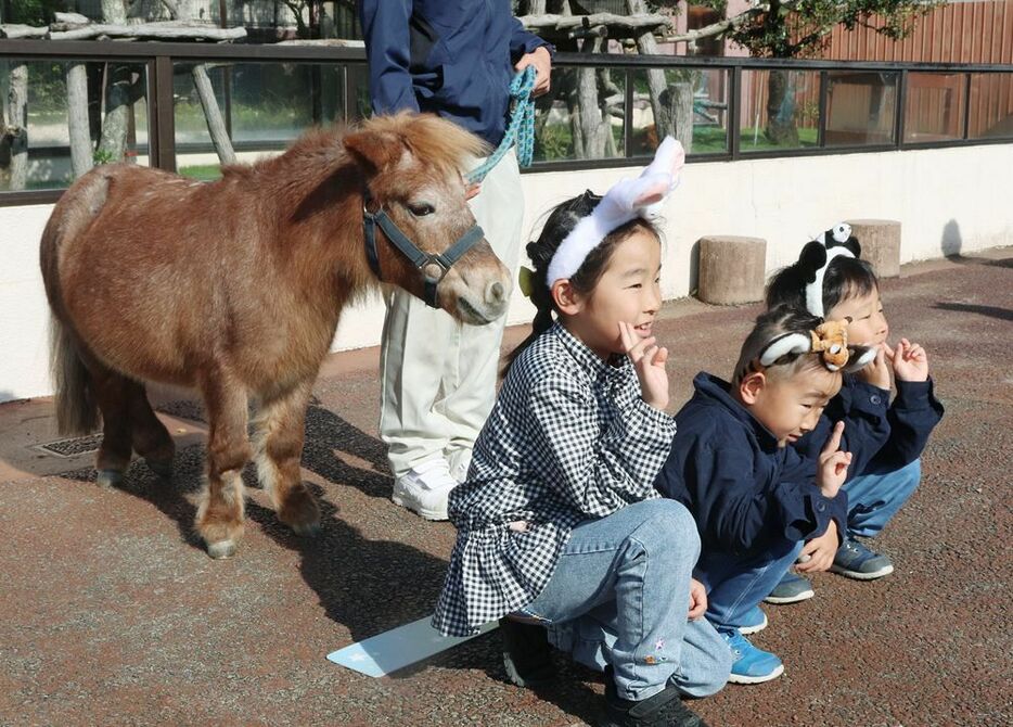 ミニチュアホースと記念撮影をする子どもたち（６日、和歌山県白浜町で）