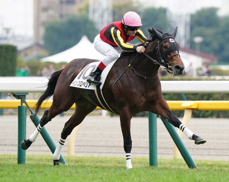 ＜東京5R＞新馬戦を制したインプロペリア（撮影・村上　大輔）