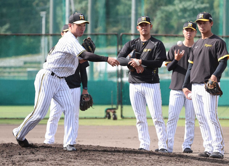 8日、秋季キャンプでノックを受ける阪神・石井（左）と森木（右端）