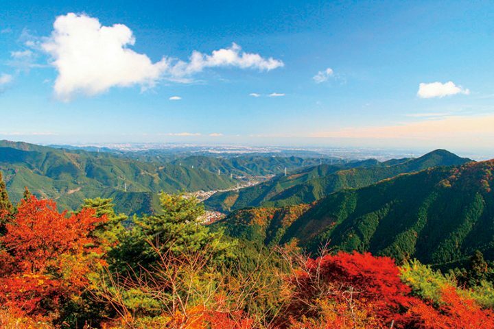 これから紅葉の見頃をむかえる全国の名低山（写真提供／青梅市観光協会）