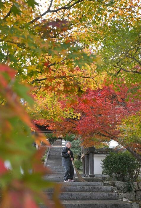 赤や黄色の葉に覆われた参道＝石像寺