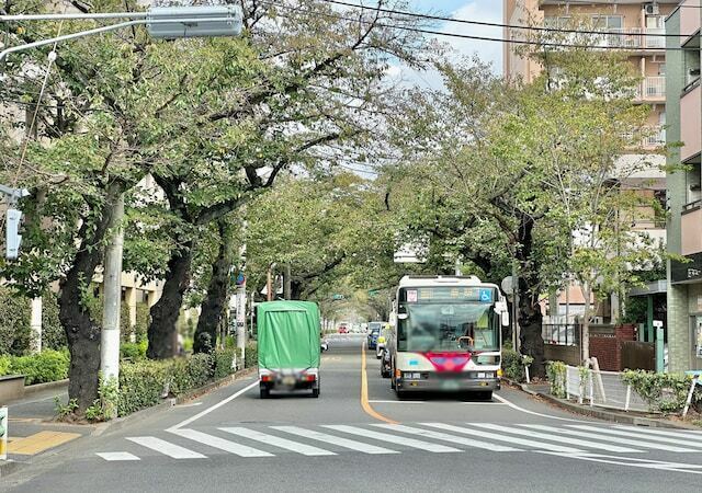 散歩はもちろん夜間のランニングにもおすすめ