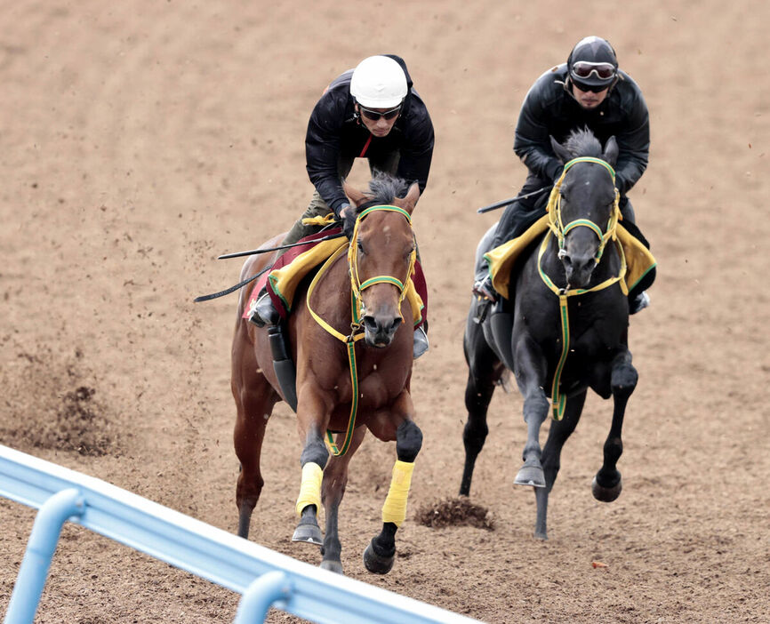 反応の良さを見せつけたシンリョクカ（左、馬上は竹内調教師）。右はフクノブルーレイク（カメラ・荒牧　徹）