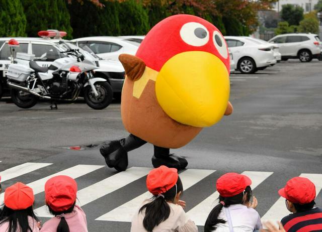 交通安全教室で横断歩道を渡るキョロちゃん=2024年11月15日、横浜市鶴見区、村上潤治撮影