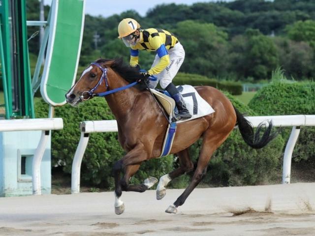 地方競馬史上最速で100勝を達成した飛田愛斗騎手(提供：佐賀県競馬組合)