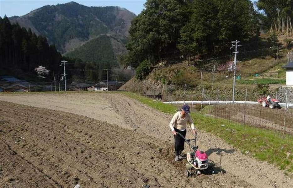 平成26年に農業分野の国家戦略特区に指定された兵庫県養父市（西川博明撮影）