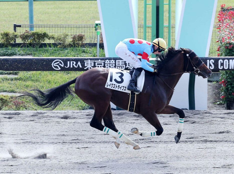 東京4R、新馬戦制したレイクストライプスとT・マーカンド騎手（撮影・鈴木正人）