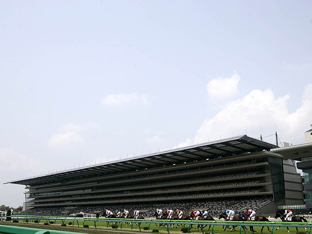 レースが行われた東京競馬場(c)netkeiba